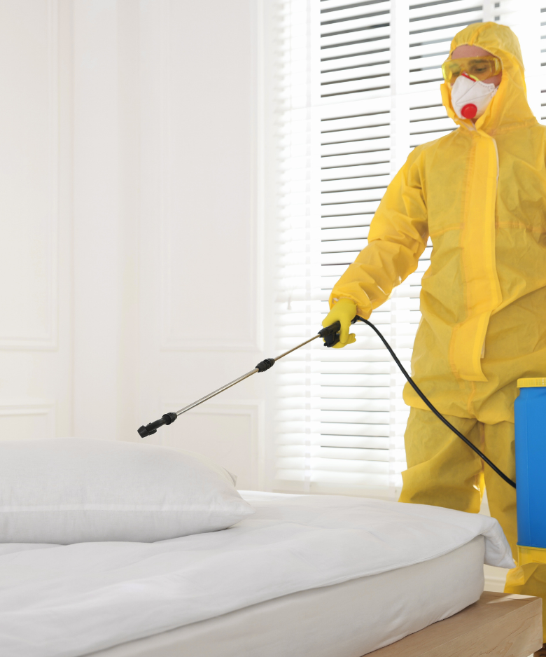 Professional Pest Control Team in Kent Town